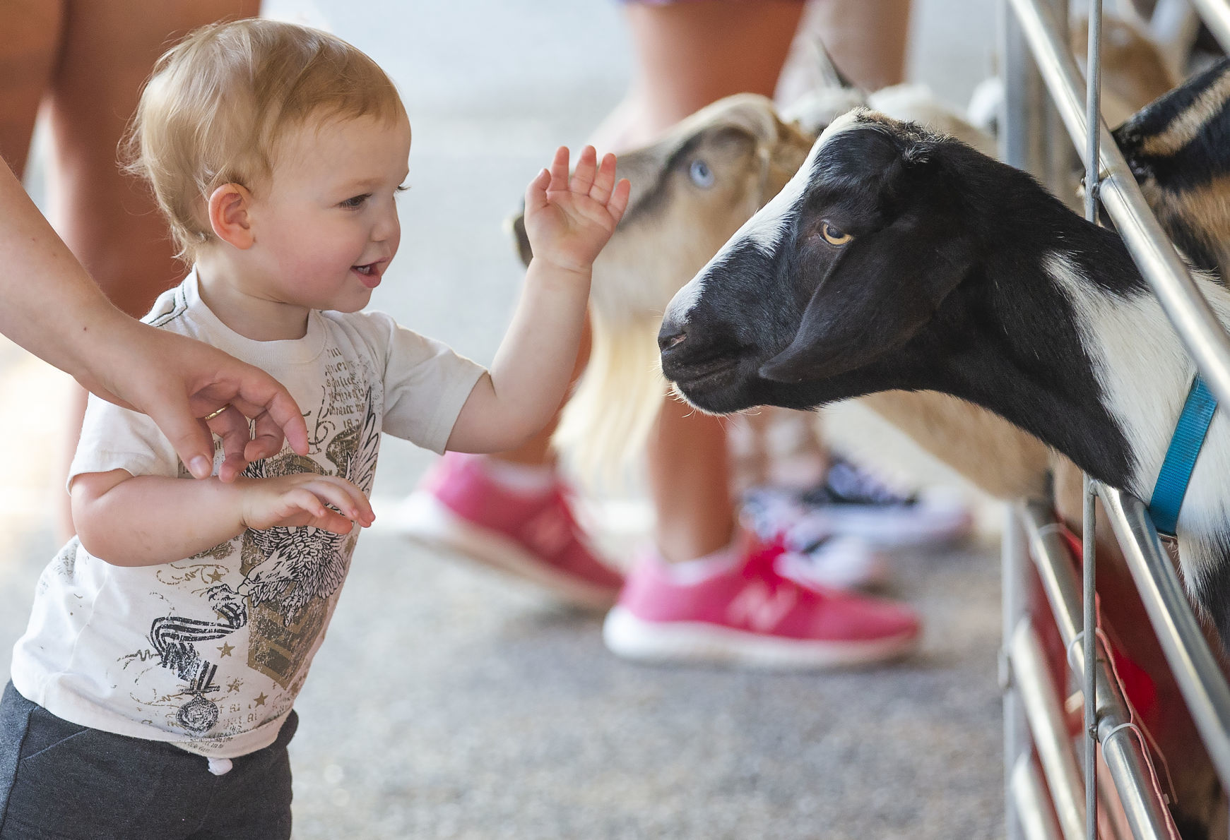 Fun times at Central Carolina Fair